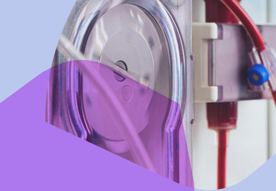 Renal Care Image